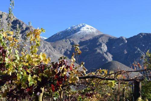 Clayhouse Rivadavia in La Serena, Chile