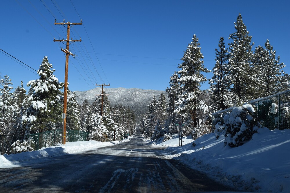 Golden Bear Cottages - photo 80