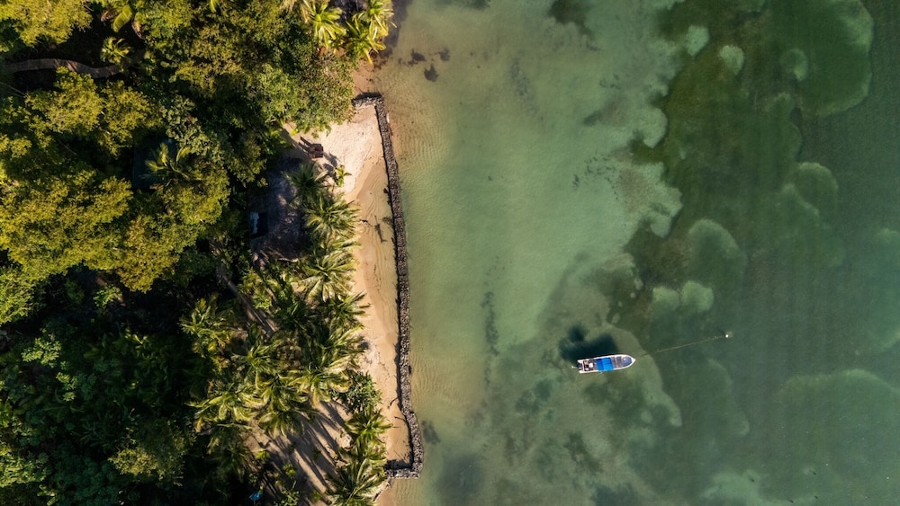 Beachfront House at La Vida Resort in Bastimentos, Panama