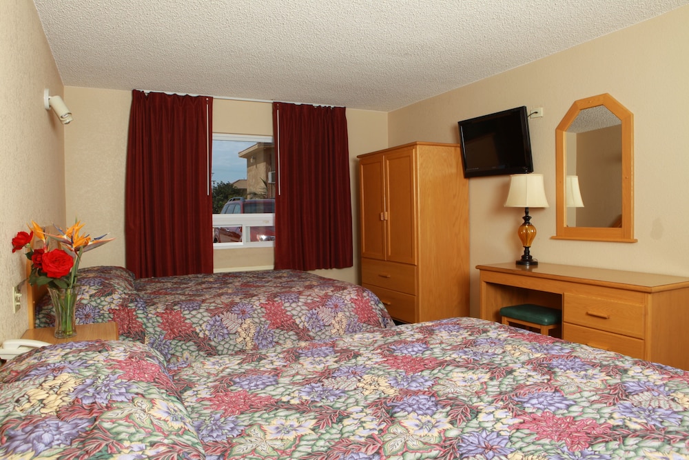 Hotel La Villa de San Quintin — San Quintin — photo 3
