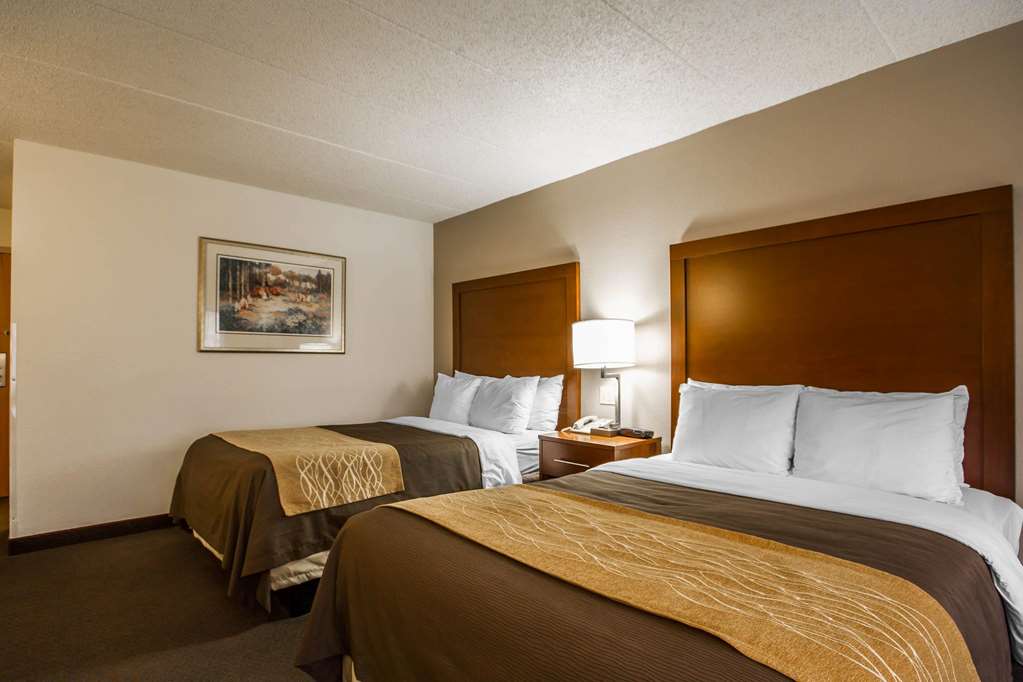 Comfort Inn & Suites Madison Airport - photo 15