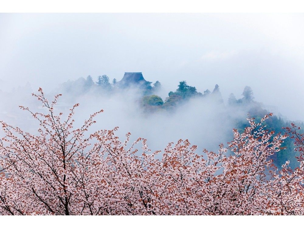Kisuya — Unknown City — photo 5