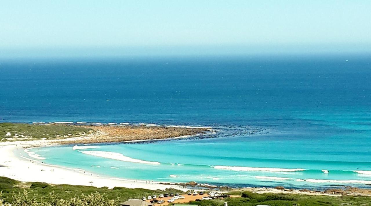 Sea Song in Cape Town, South Africa