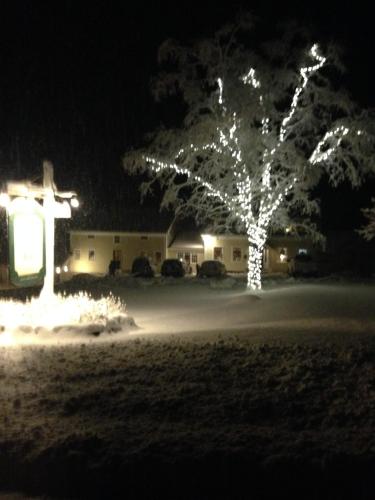 Wiley Inn - photo 24