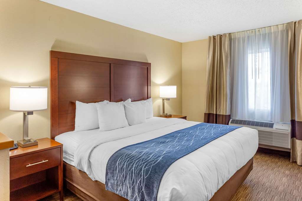 Comfort Inn Rockford near Casino District - photo 31