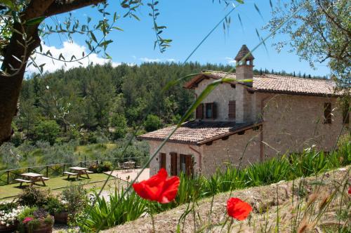 Agriturismo Molino Verde — 4-Star Luxury Hotel in Montecchio, Italy