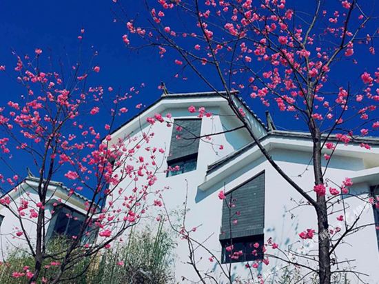 Fanshe Meisu Hotel - last minute hotel in Dali