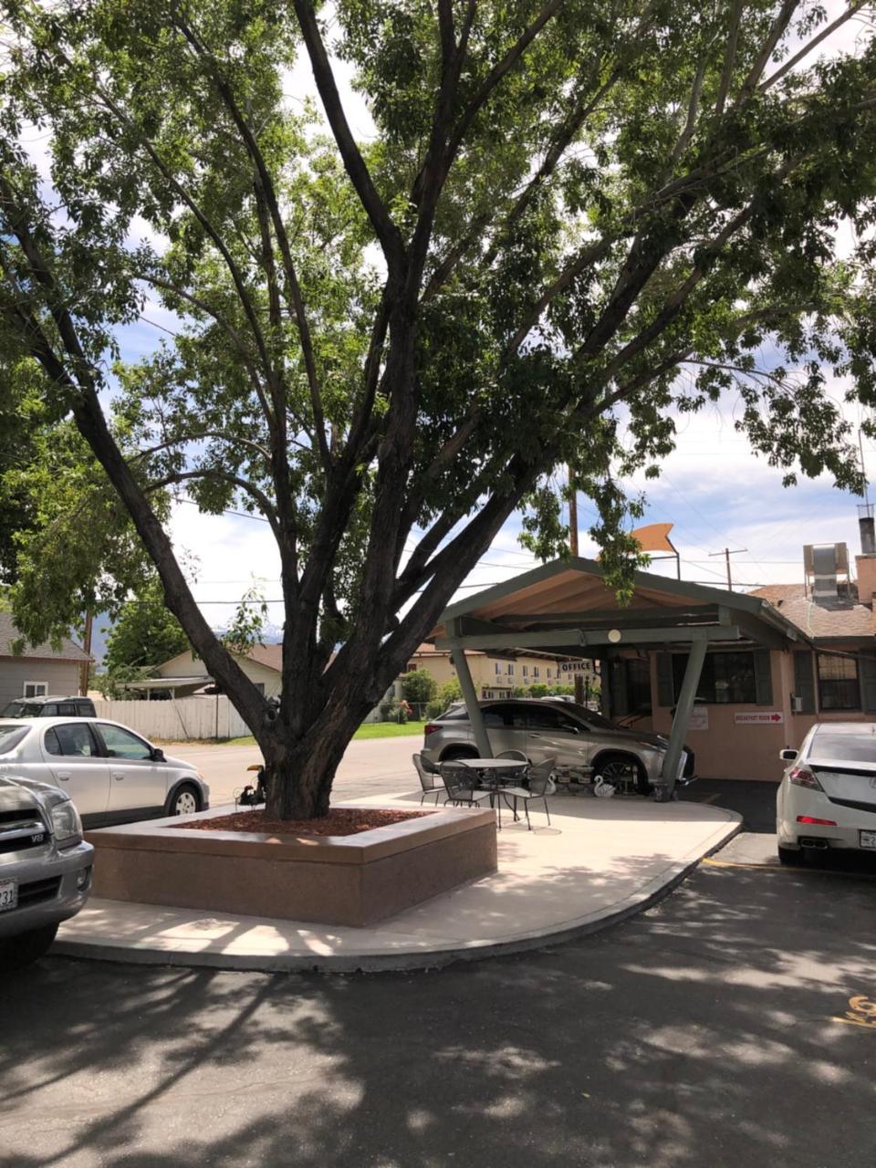 Bishop Elms Motel - photo 14