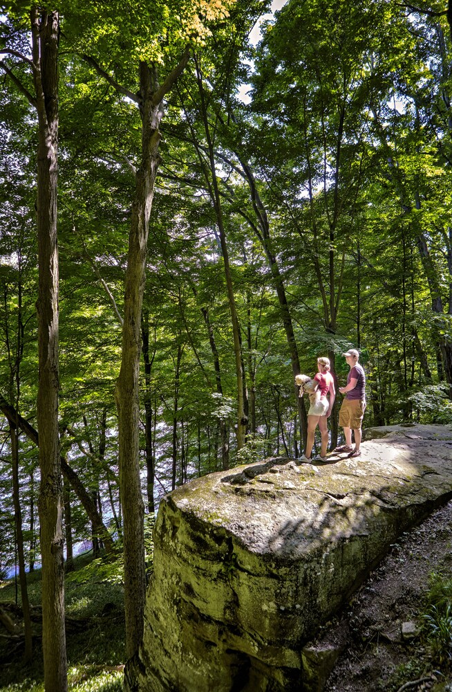 Salt Fork Lodge and Conference Center - photo 43