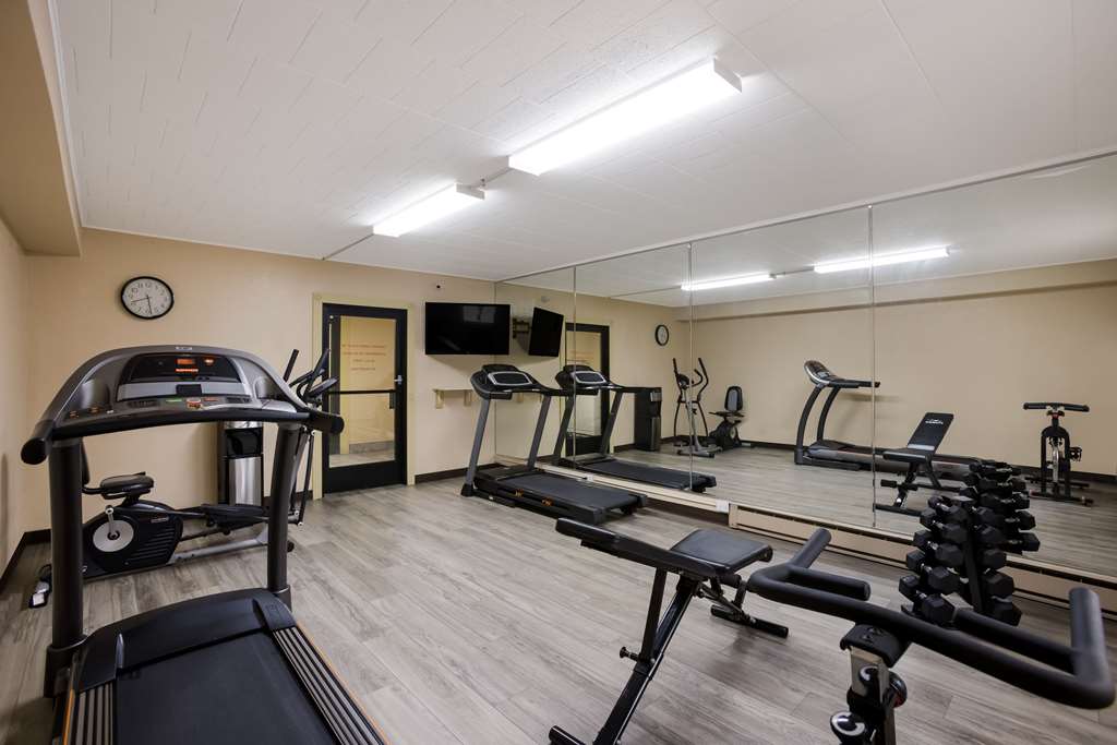 Quality Inn & Suites Big Rapids near University - photo 27