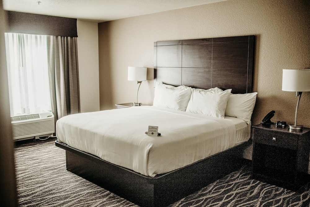 Cobblestone Hotel & Suites International Falls - photo 8
