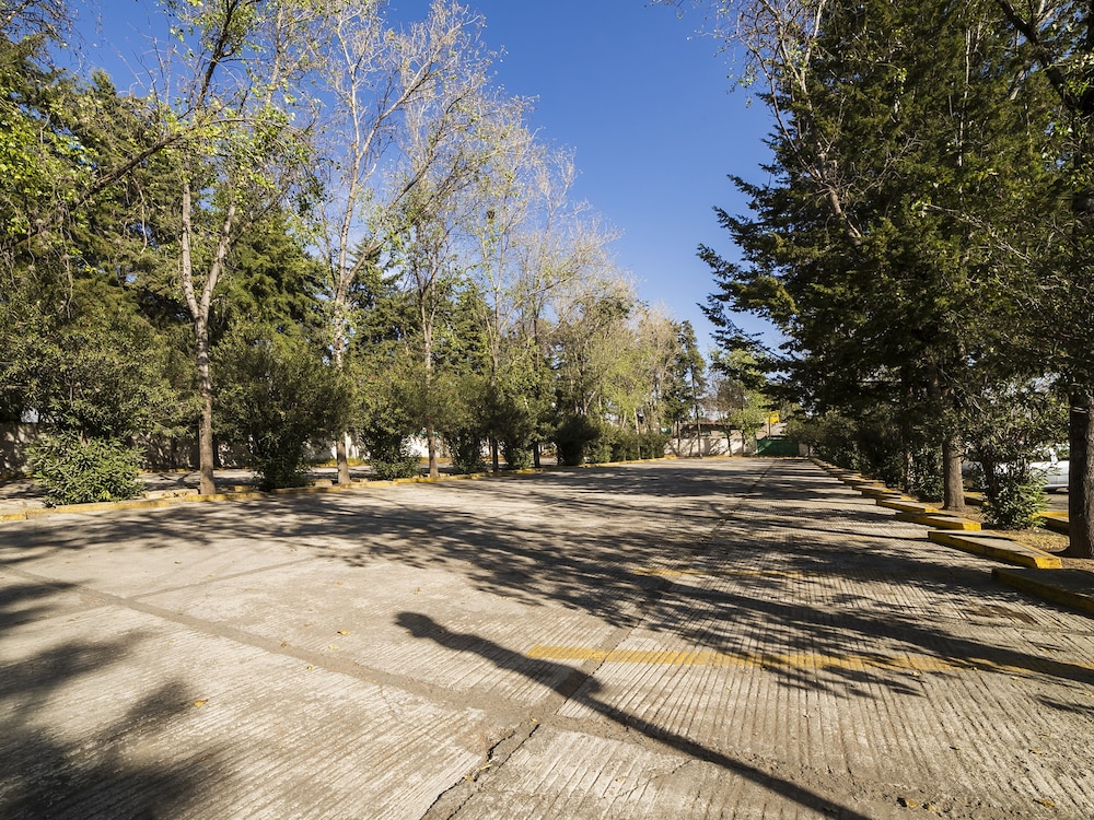 La Mansión del Quijote — Texcoco De Mora — photo 3