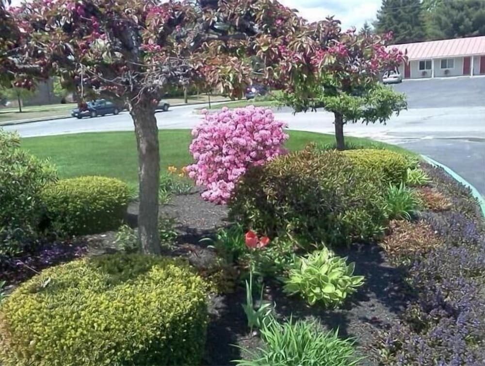 Belmont Motel - photo 36