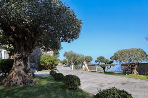 Villa Italia Sorrento — 4-Star Luxury Hotel in Termini Imerese, Italy