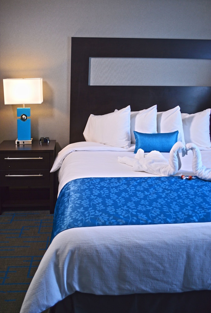 Holiday Inn & Suites Syracuse Airport Liverpool by IHG - photo 8