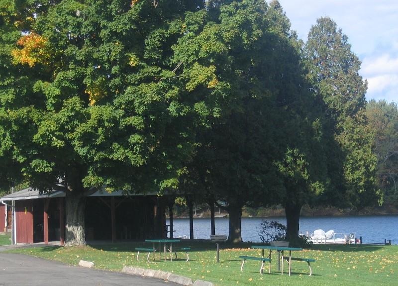 Red Carpet Inn On the Lake - photo 28