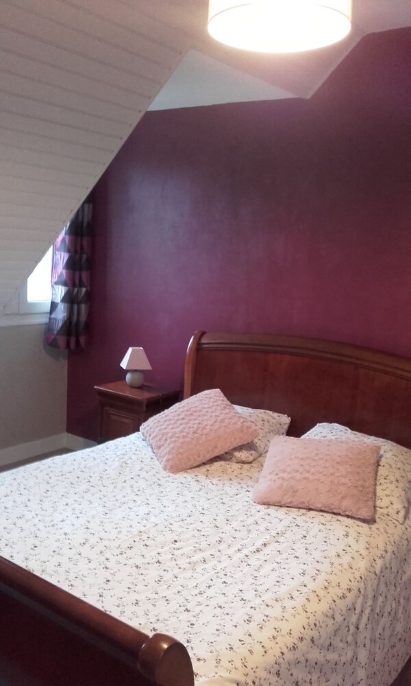 Les Hortensias — Saint-Pierre-De-Plesguen — photo 3