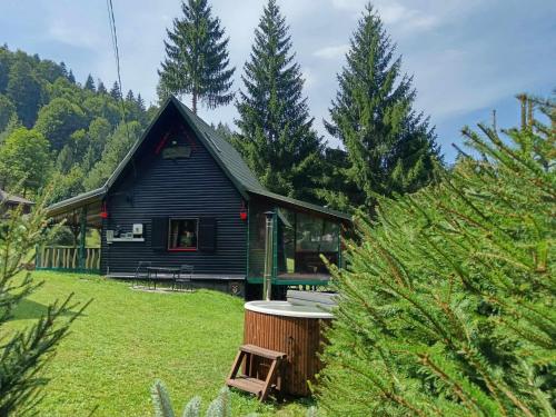 Schwarz Kabin — hotel in Poiana Vadului