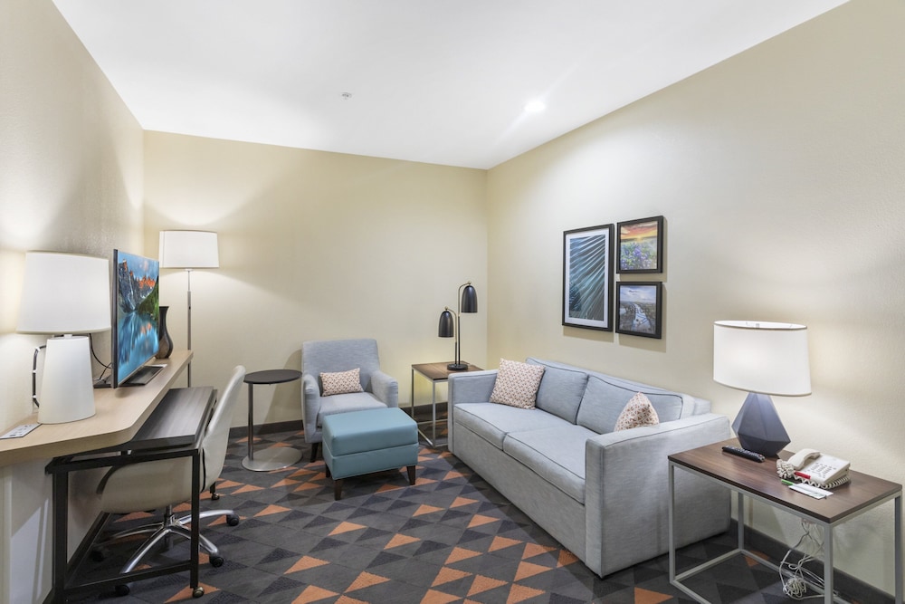 Holiday Inn Hotel & Suites Waco Northwest by IHG - photo 14