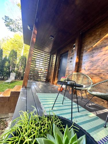 Tiny House 4 Two — Valiug — photo 3