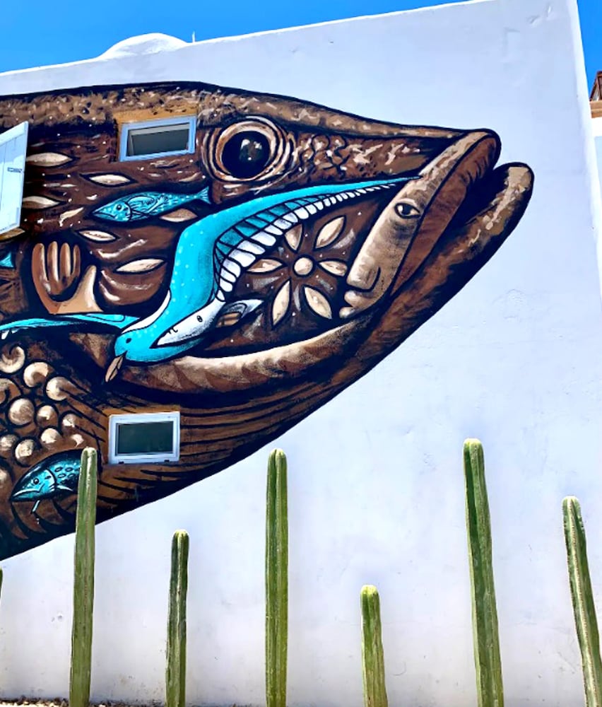 Villa Esterito — 4-Star Luxury Hotel in La Paz, Mexico