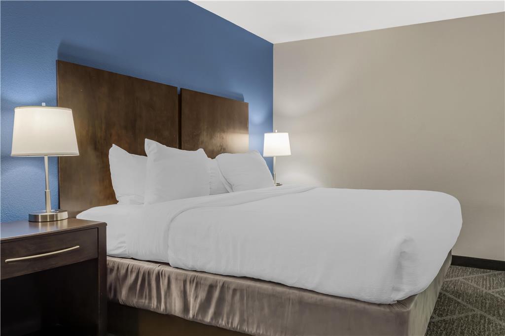 Best Western Rochester Hotel Mayo Clinic Area St. Marys - photo 21