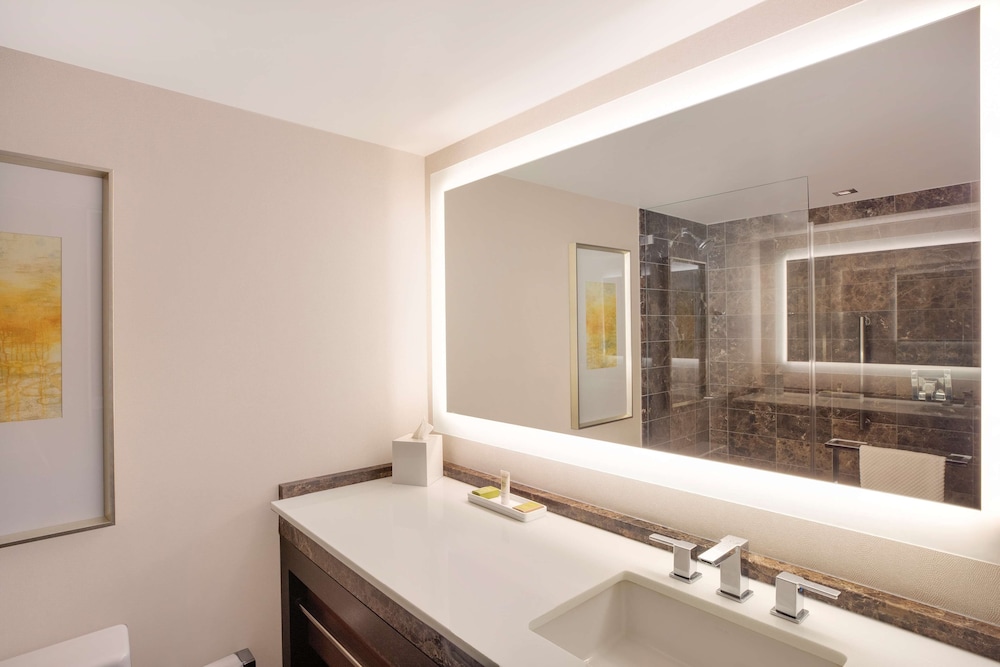 Hilton McLean Tysons Corner - photo 34