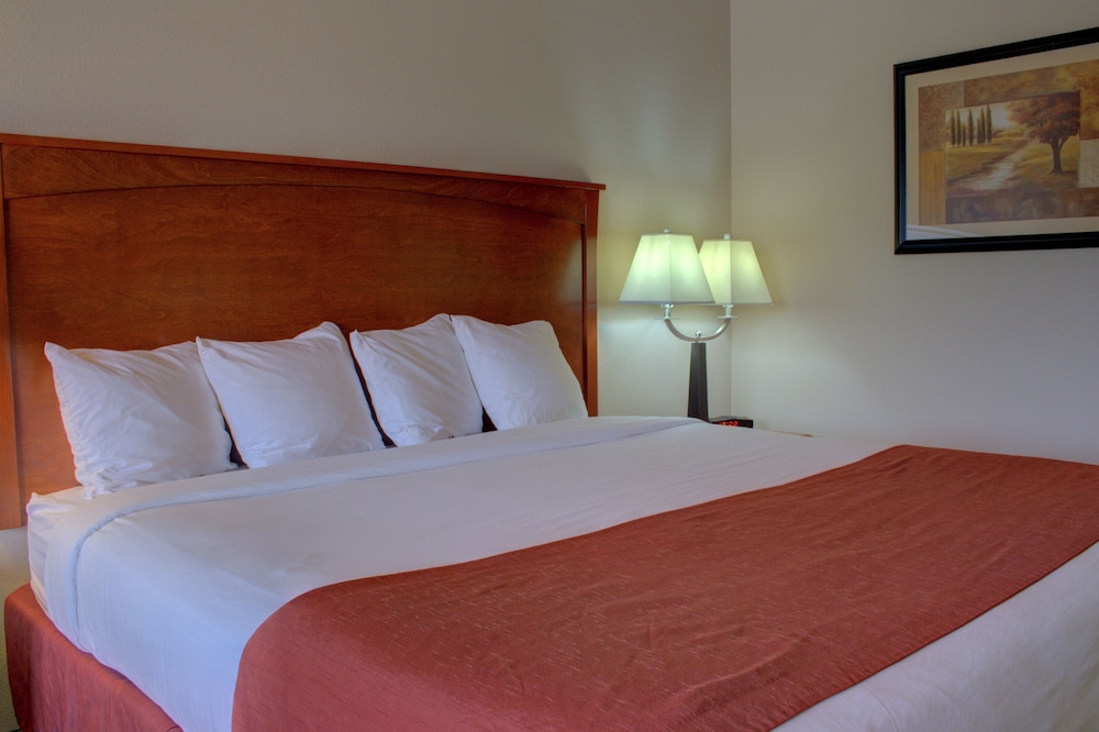 Allington Inn & Suites - photo 5