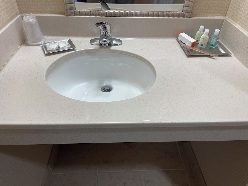 Quality Hotel Philadelphia Airport - photo 7