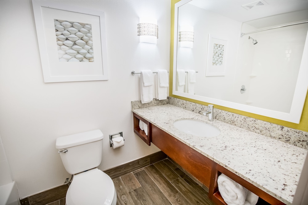 Hilton Garden Inn Orange Beach Beachfront - photo 65