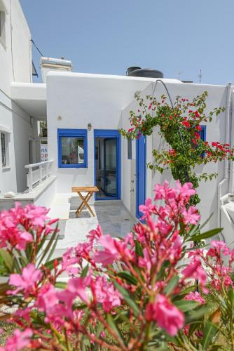 Rose of Tinos in Tinos, Greece