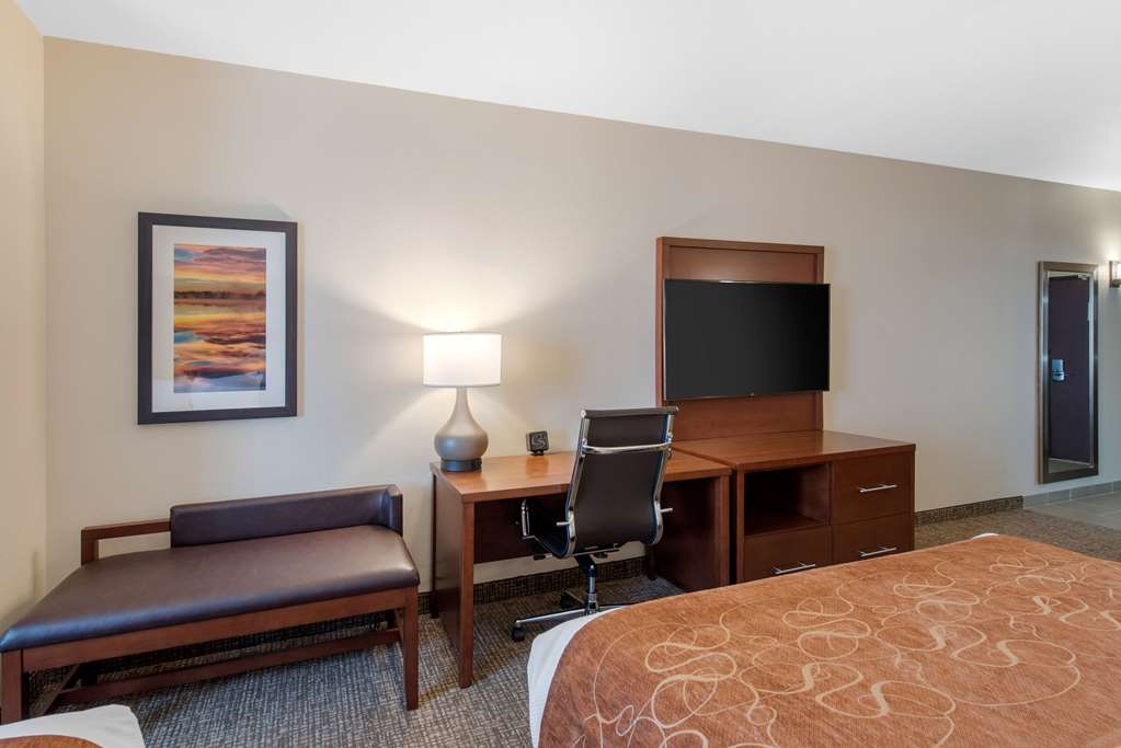 Comfort Suites Denver International Airport - photo 29