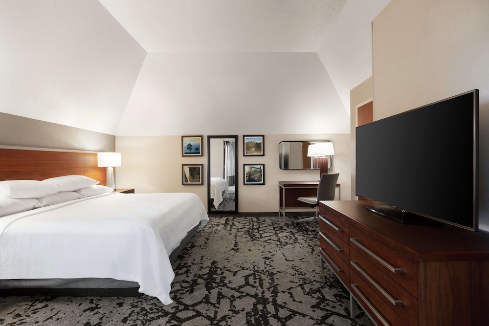 Embassy Suites by Hilton Dallas DFW Airport North - photo 24