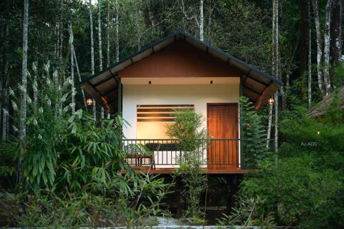 Blue Creek - last minute hotel in Unknown City