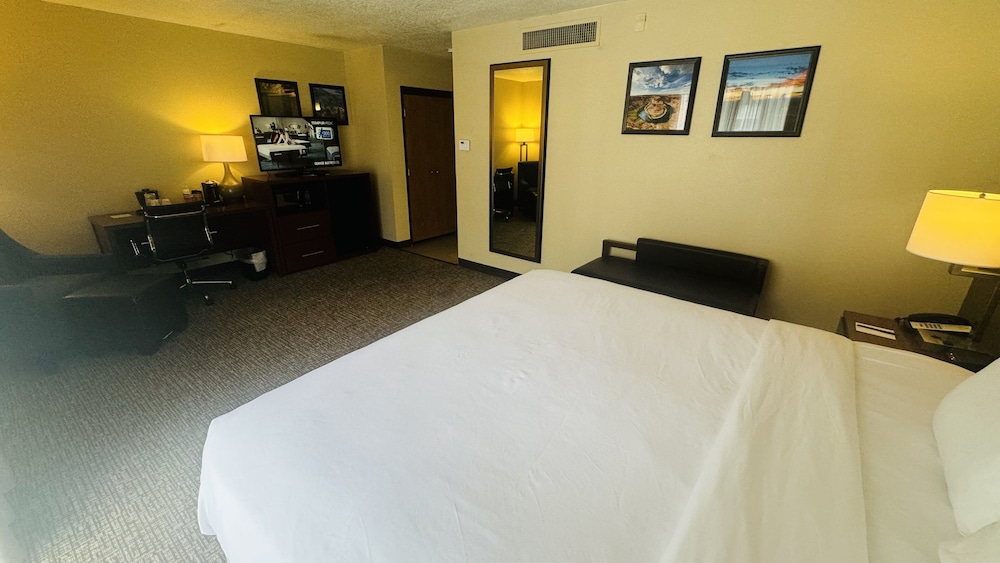 Comfort Inn Salt Lake City Downtown - photo 14