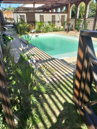 Ylang Ylang in Saint-Leu, Réunion