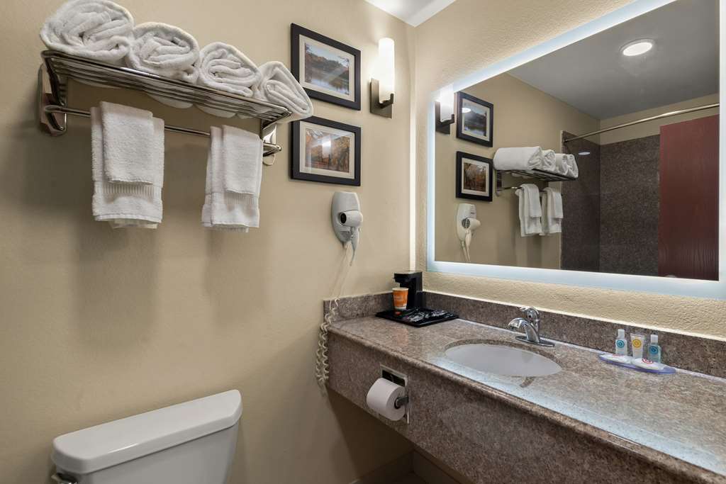 Comfort Inn & Suites Atoka - photo 20