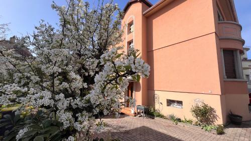 T3 Veranda a Strasbourg - last minute hotel in Strasbourg
