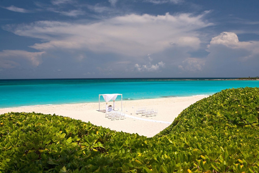 Outdoor wedding area