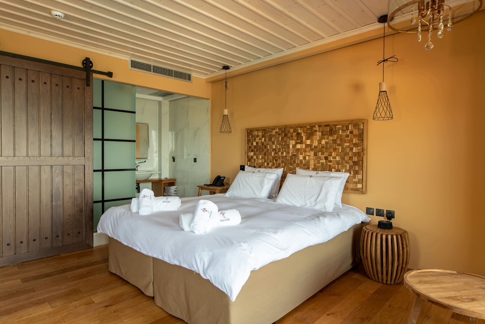5 Raches Suites — Arachova — photo 4