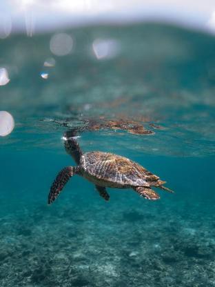 Burulu Inn in Unknown City, Maldives