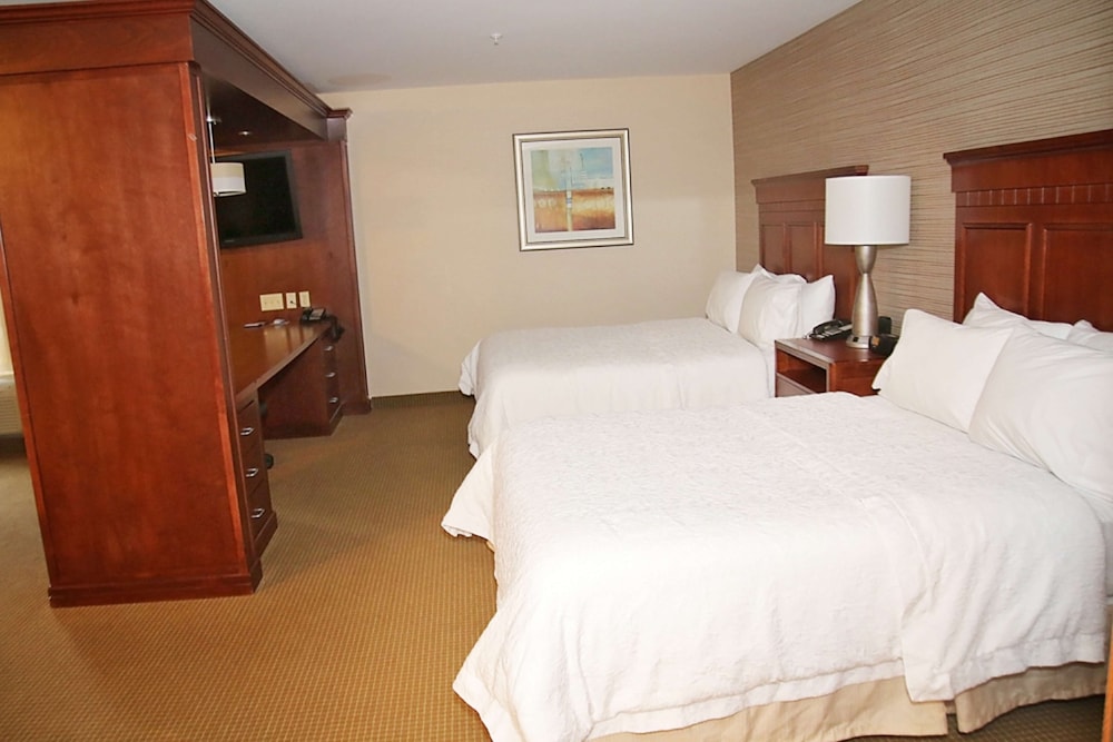 Hampton Inn Detroit Auburn Hills North - photo 12