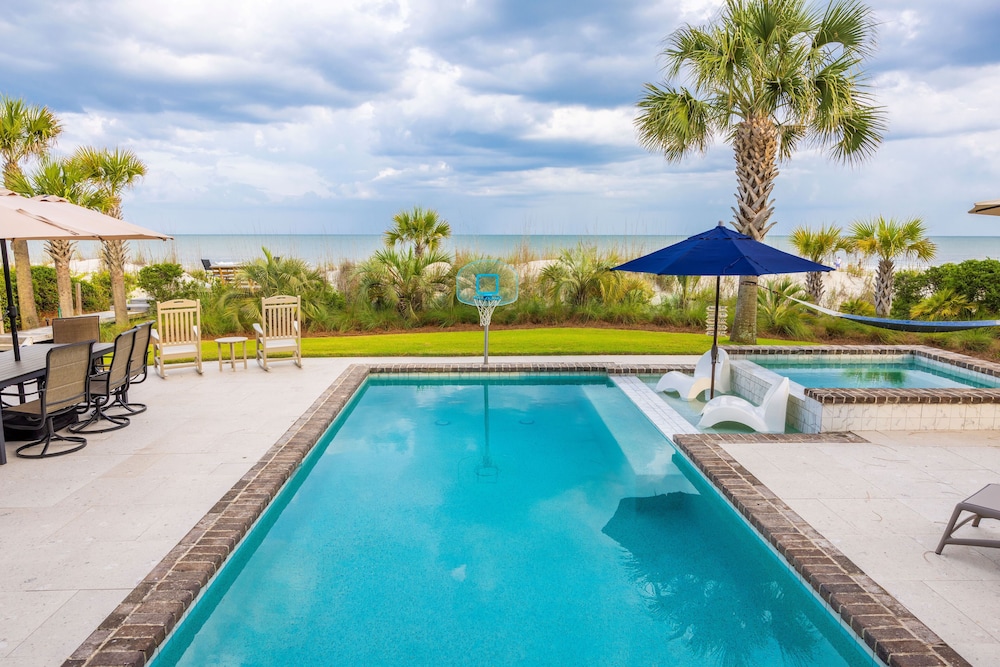 34 Surf Scoter at the Sea Pines Resort - photo 26