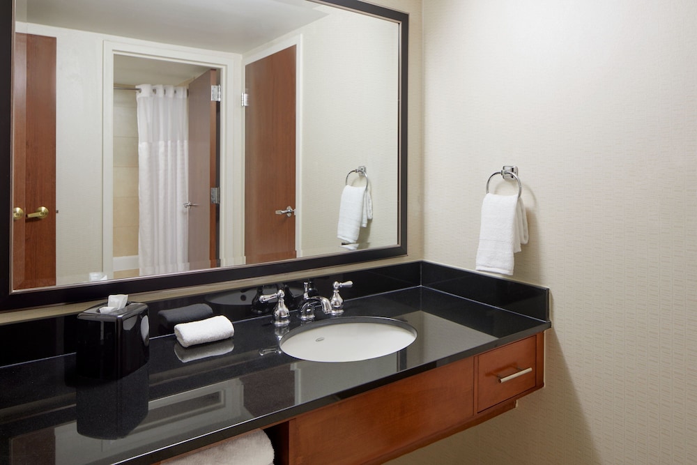 Detroit Metro Airport Marriott - photo 35