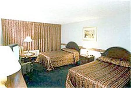 Golden Palm Casino Hotel - photo 2