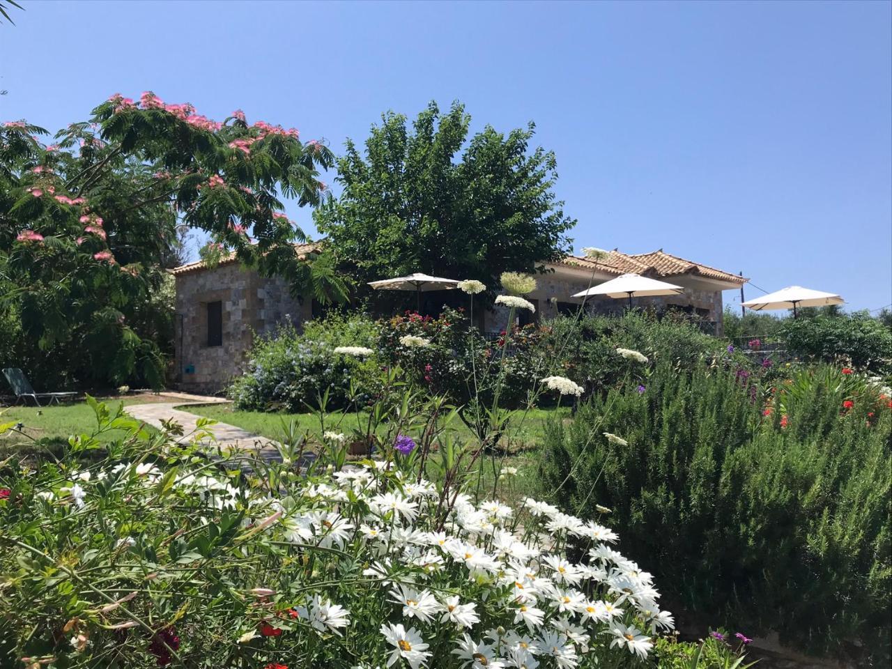 Villa Pefnos — Agios Dimitrios — photo 2