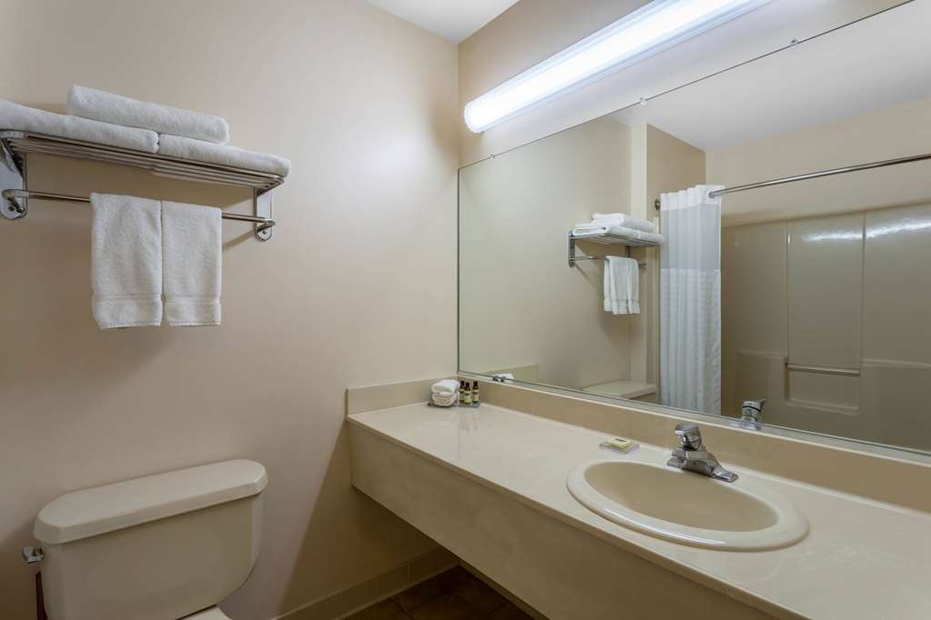 Hawthorn Suites by Wyndham Allentown Fogelsville - photo 18