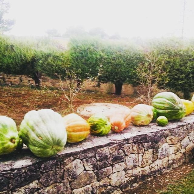 B&B Villa Genny — 4-Star Luxury Hotel in Altamura, Italy