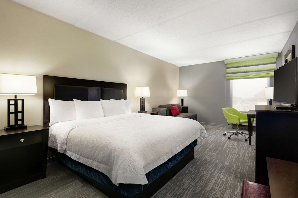 Hampton Inn & Suites Houston Clear Lake Nasa Area - photo 16