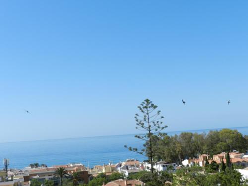 Pedregalejo Room - last minute hotel in Malaga